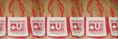 Women And Children’s Support Network - 3rd Canadian International Conference on Sustainable Development Goals 2026 Toronto, Canada